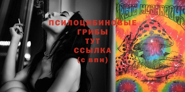 круглые Алзамай