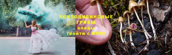 мяу мяу мука Переславль-Залесский