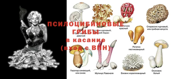 PSILOCYBIN Пестово