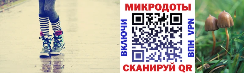 Галлюциногенные грибы прущие грибы  hydra как зайти  Калтан 
